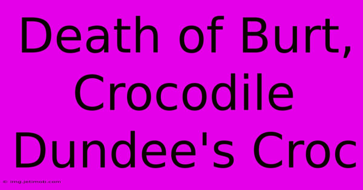 Death Of Burt, Crocodile Dundee's Croc