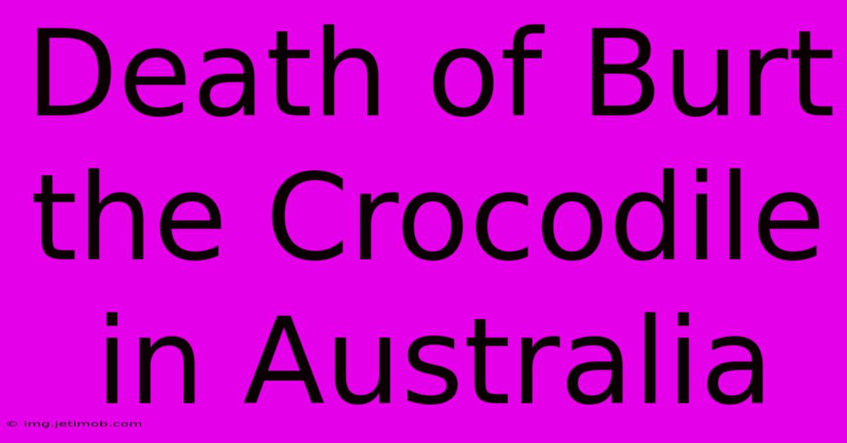 Death Of Burt The Crocodile In Australia