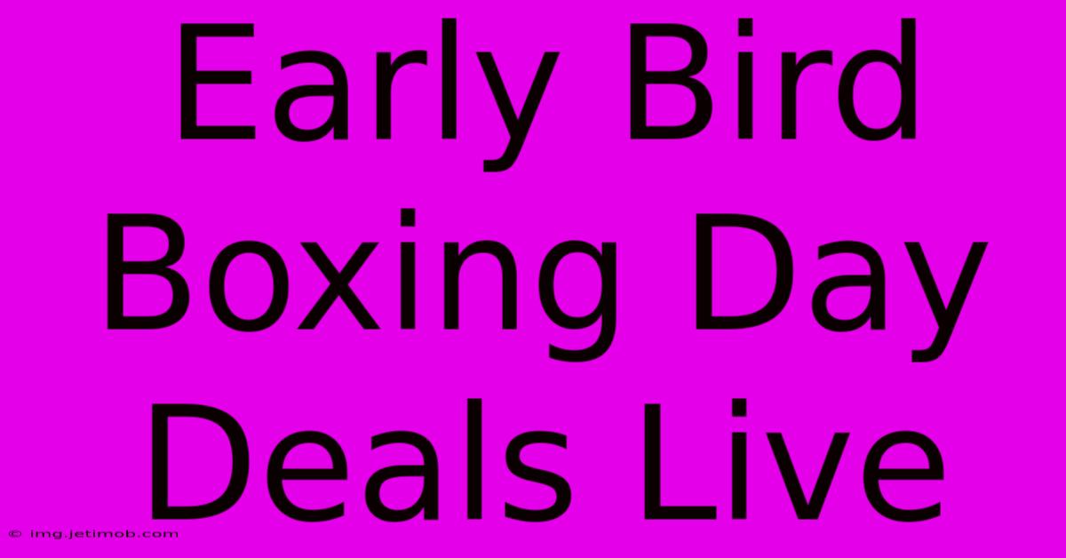 Early Bird Boxing Day Deals Live