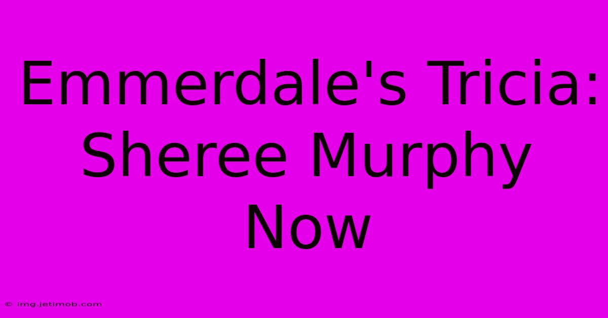 Emmerdale's Tricia: Sheree Murphy Now