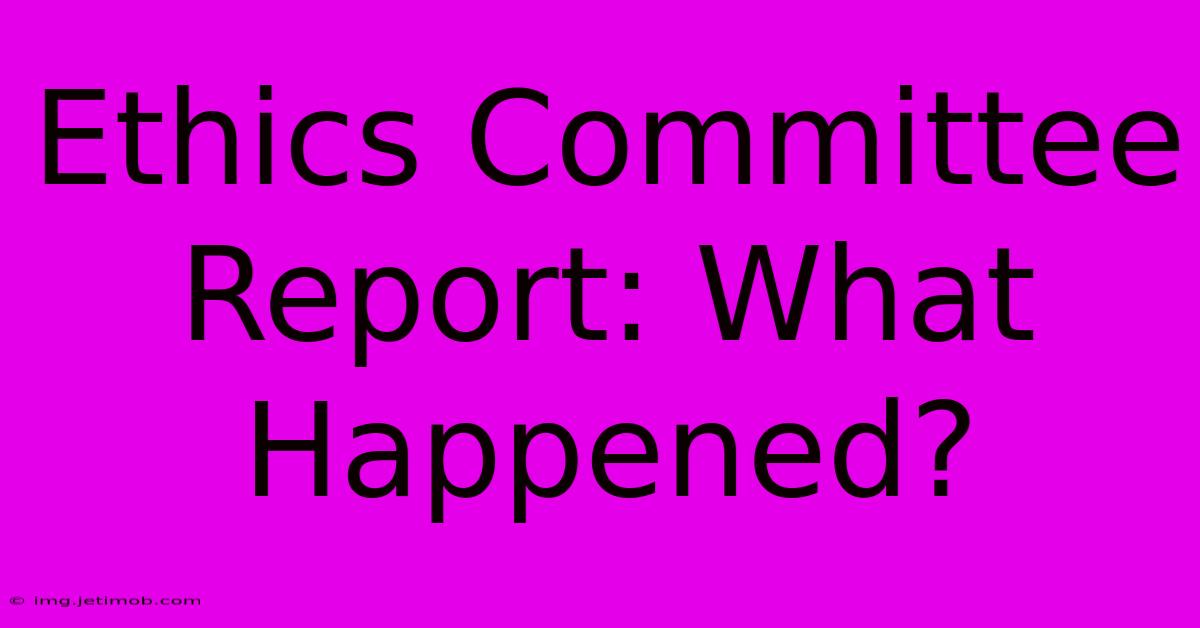 Ethics Committee Report: What Happened?