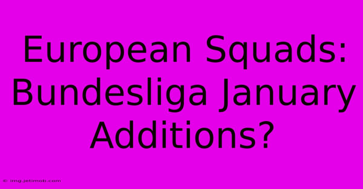 European Squads: Bundesliga January Additions?