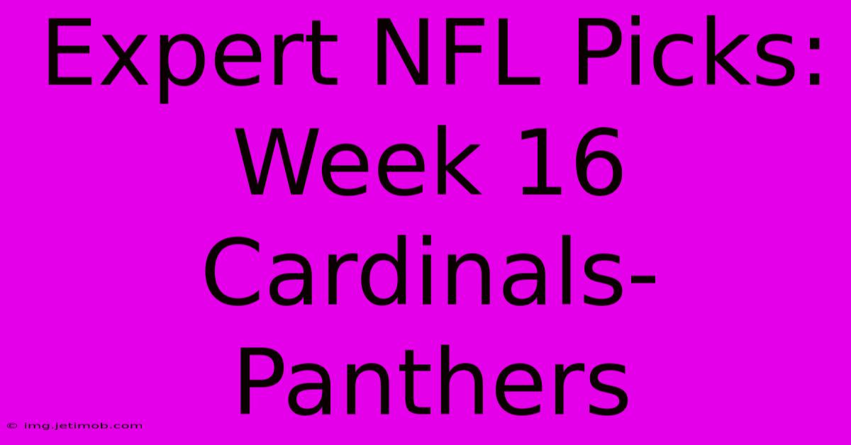 Expert NFL Picks: Week 16 Cardinals-Panthers