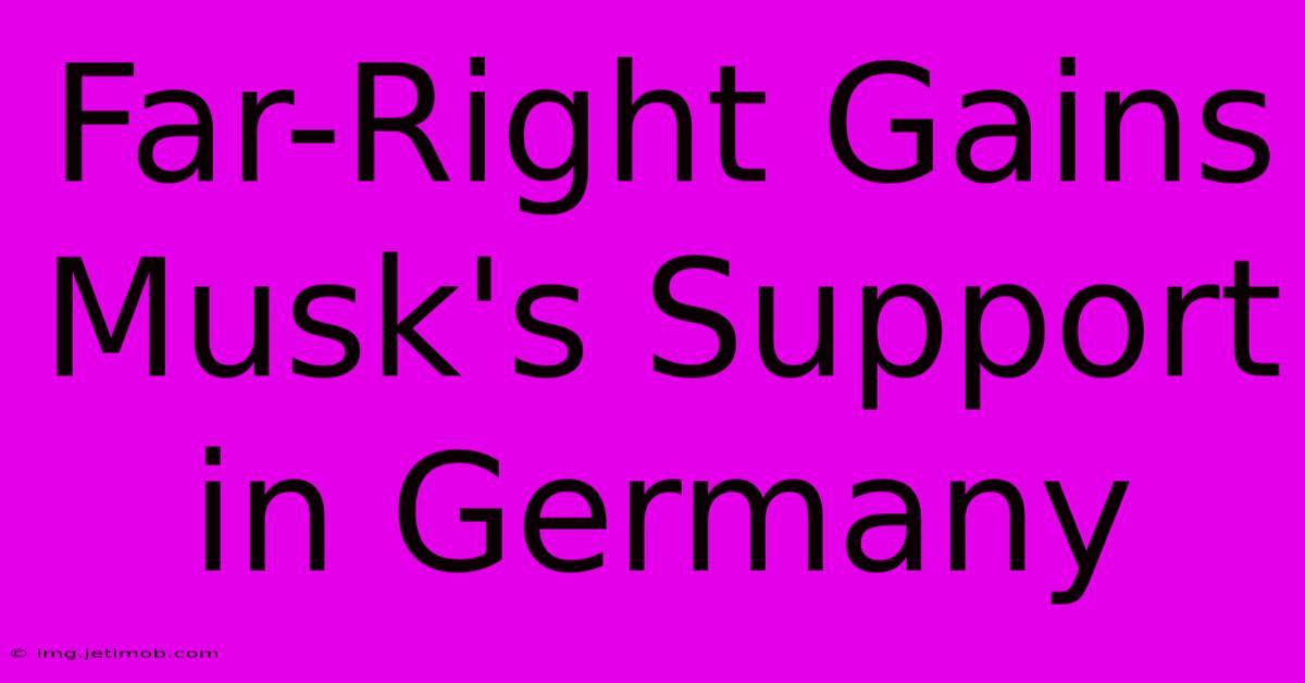 Far-Right Gains Musk's Support In Germany