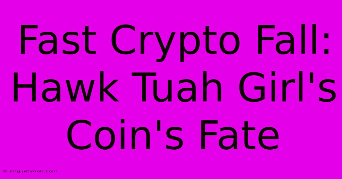 Fast Crypto Fall: Hawk Tuah Girl's Coin's Fate