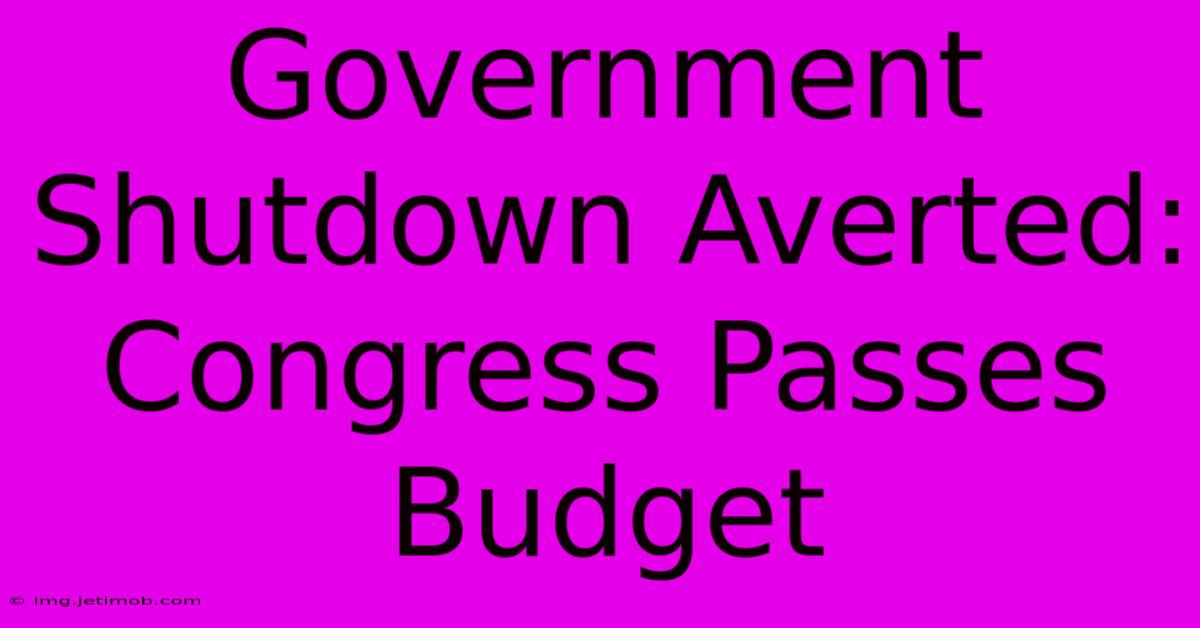 Government Shutdown Averted:  Congress Passes Budget