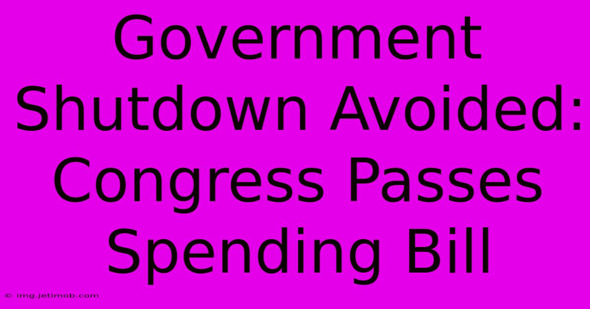 Government Shutdown Avoided: Congress Passes Spending Bill