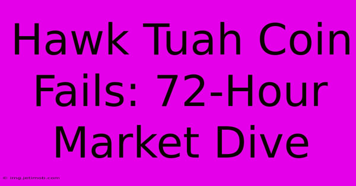 Hawk Tuah Coin Fails: 72-Hour Market Dive