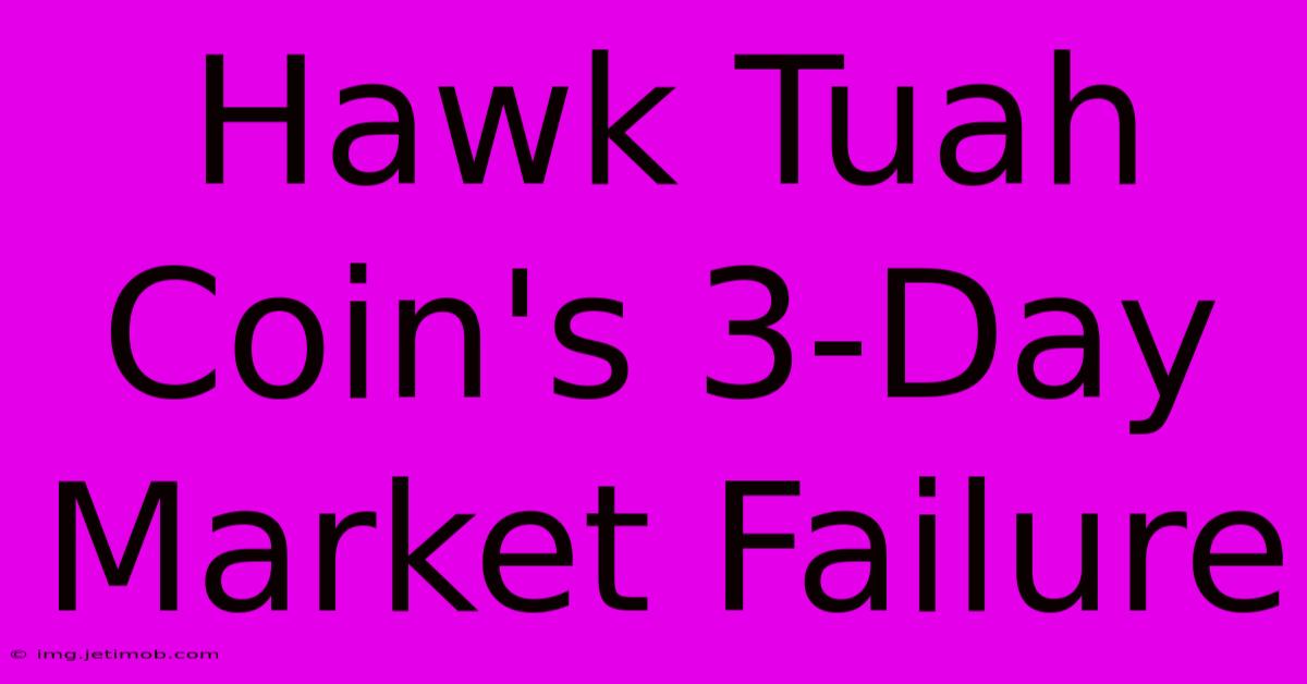 Hawk Tuah Coin's 3-Day Market Failure