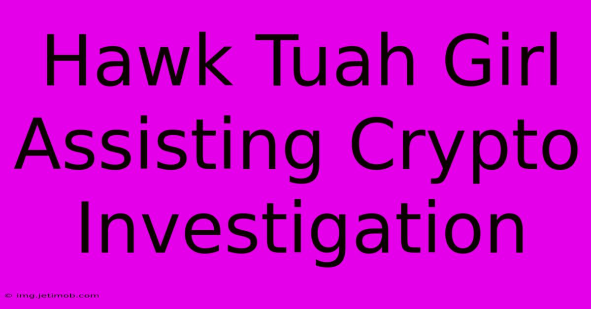 Hawk Tuah Girl Assisting Crypto Investigation