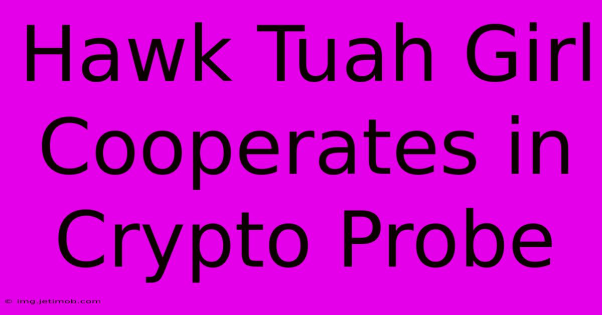 Hawk Tuah Girl Cooperates In Crypto Probe