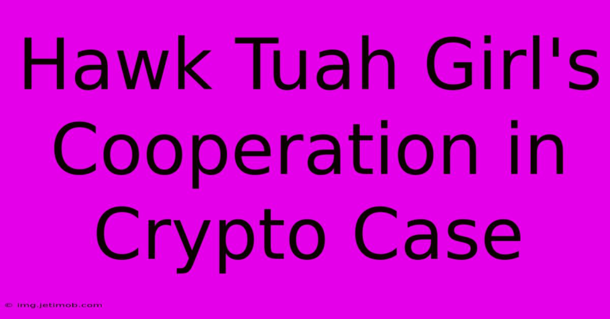 Hawk Tuah Girl's Cooperation In Crypto Case