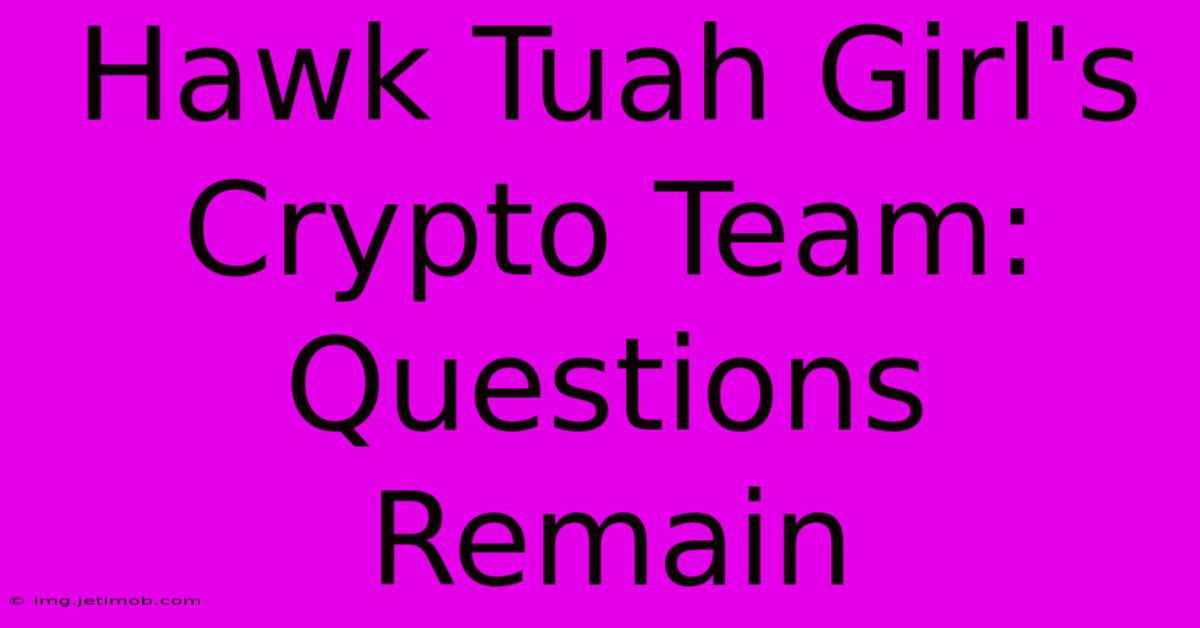 Hawk Tuah Girl's Crypto Team: Questions Remain