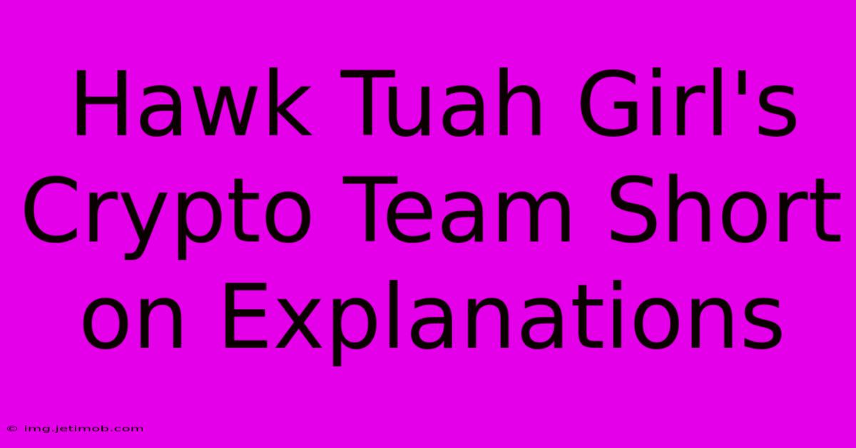 Hawk Tuah Girl's Crypto Team Short On Explanations