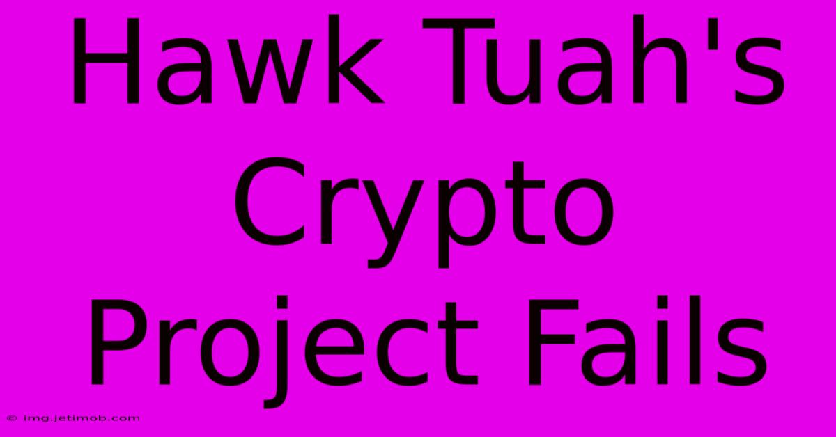 Hawk Tuah's Crypto Project Fails