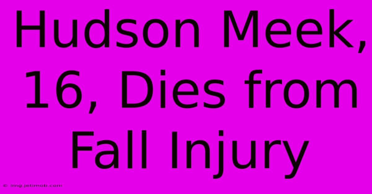 Hudson Meek, 16, Dies From Fall Injury