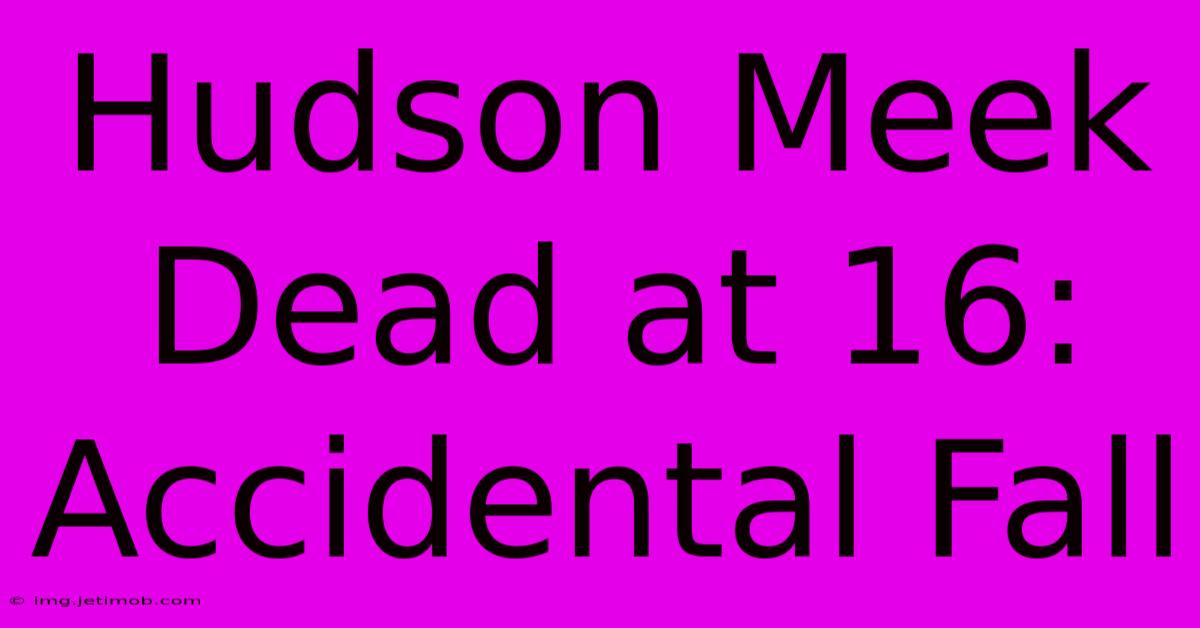 Hudson Meek Dead At 16: Accidental Fall