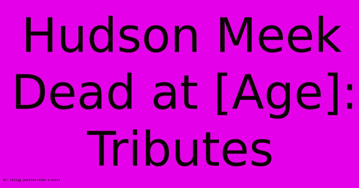 Hudson Meek Dead At [Age]: Tributes