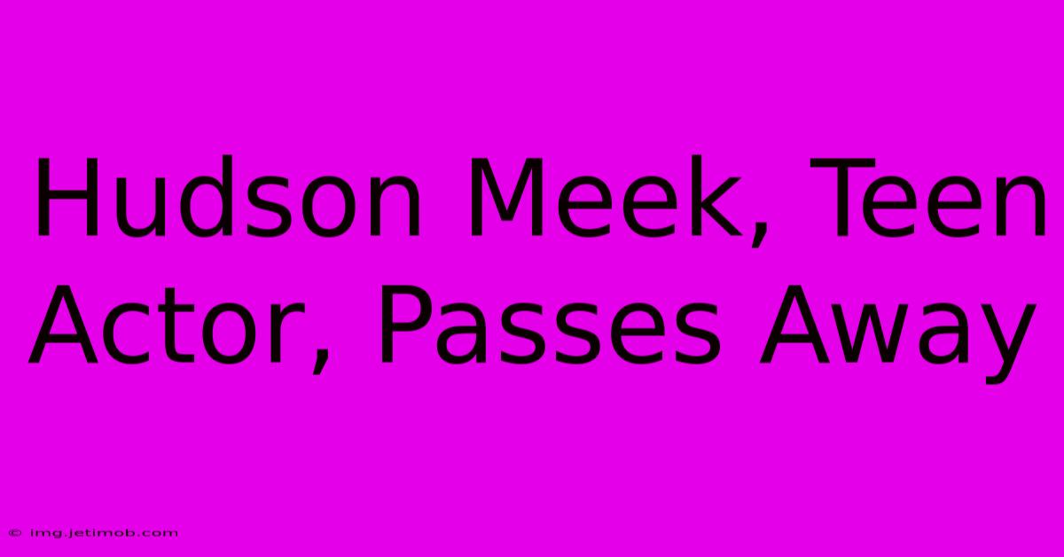 Hudson Meek, Teen Actor, Passes Away