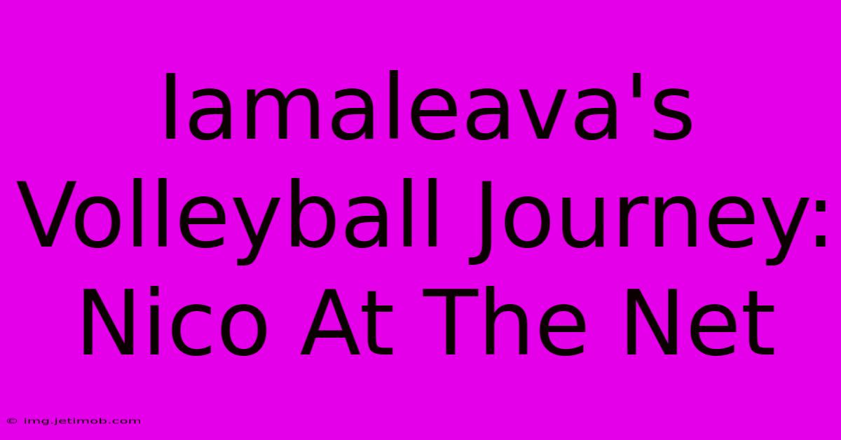 Iamaleava's Volleyball Journey: Nico At The Net