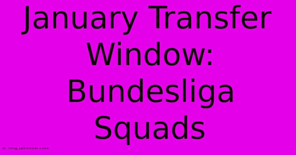 January Transfer Window: Bundesliga Squads