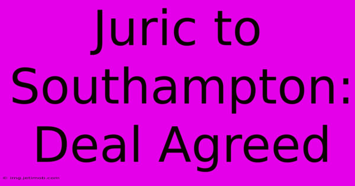 Juric To Southampton: Deal Agreed