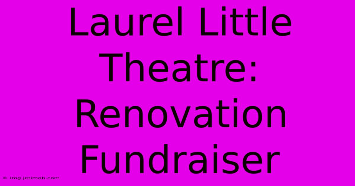 Laurel Little Theatre: Renovation Fundraiser