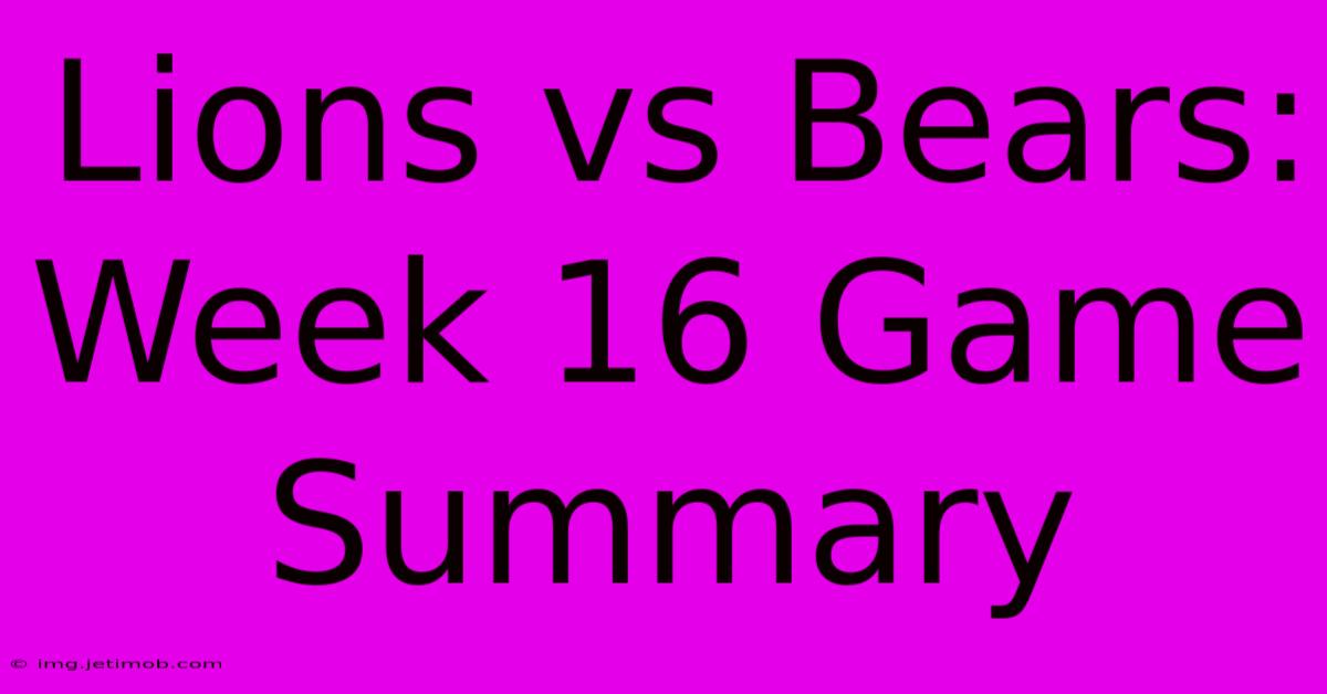 Lions Vs Bears: Week 16 Game Summary