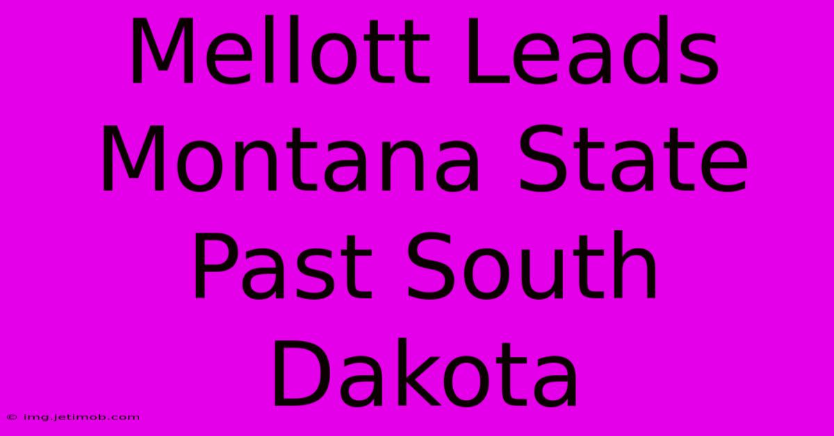 Mellott Leads Montana State Past South Dakota