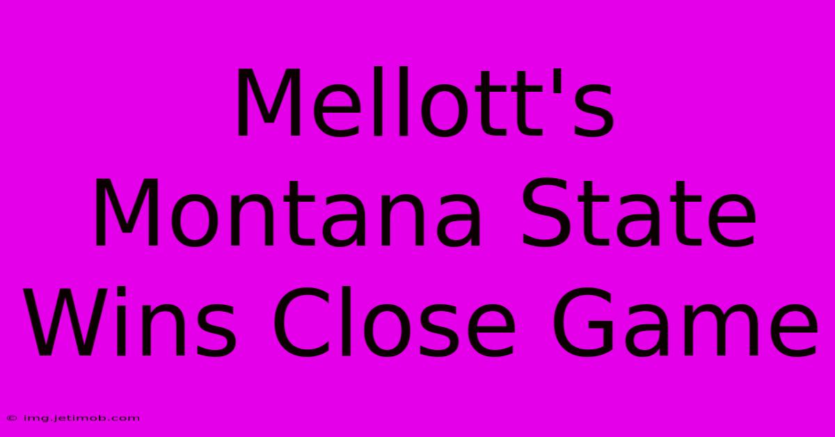 Mellott's Montana State Wins Close Game