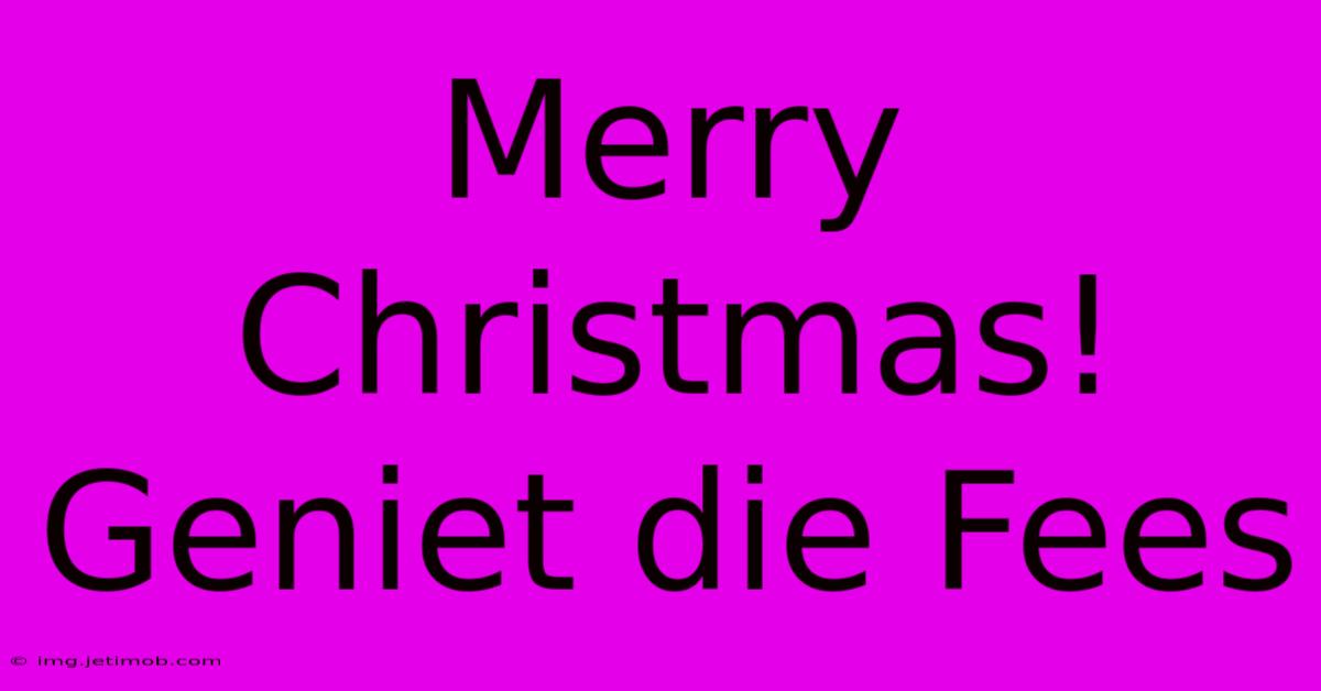 Merry Christmas!  Geniet Die Fees