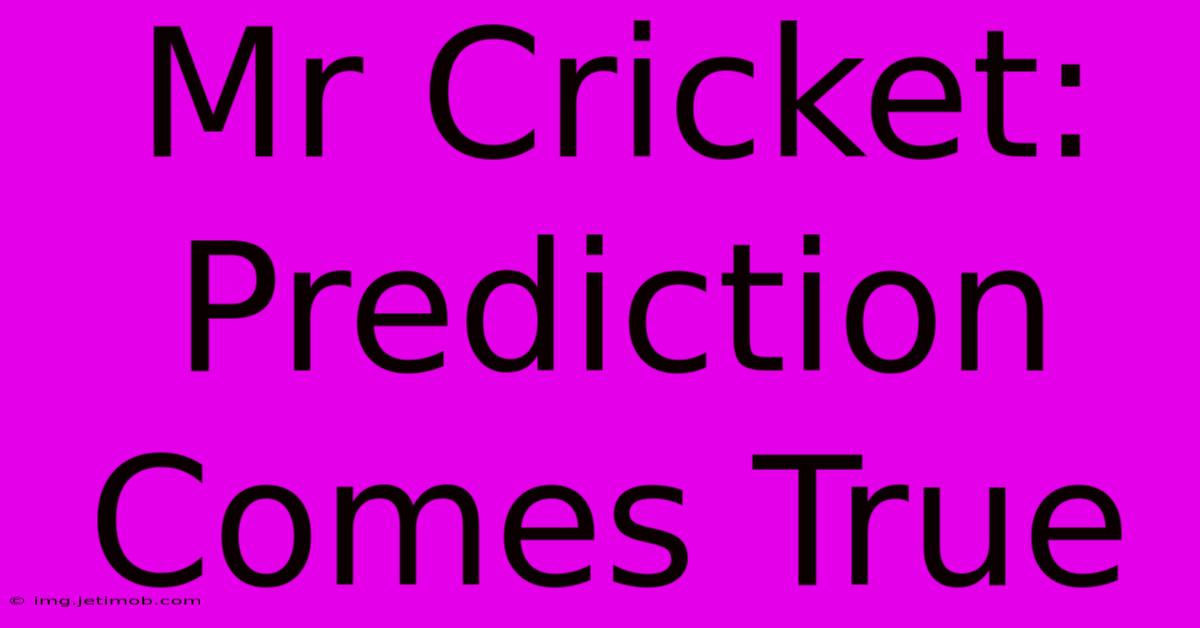 Mr Cricket: Prediction Comes True