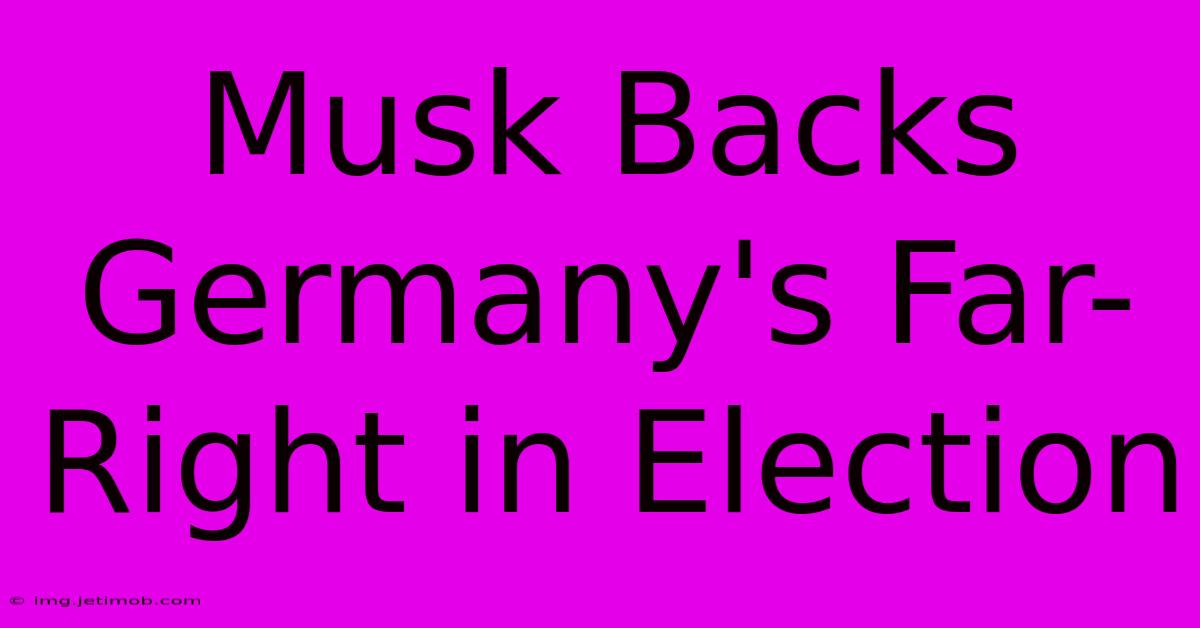 Musk Backs Germany's Far-Right In Election