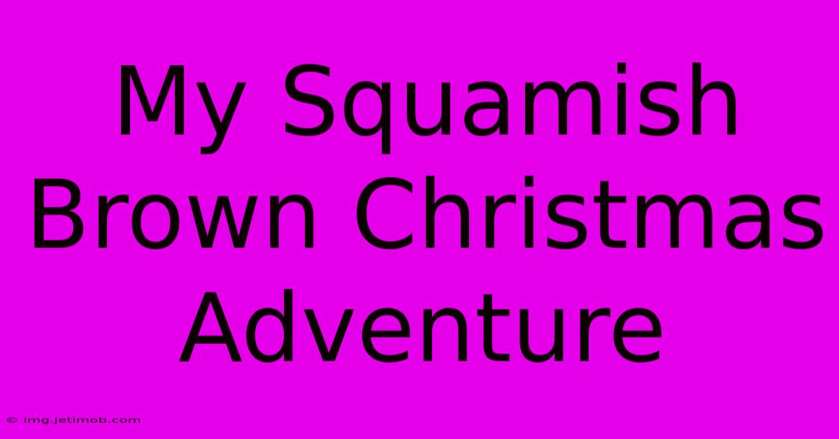 My Squamish Brown Christmas Adventure