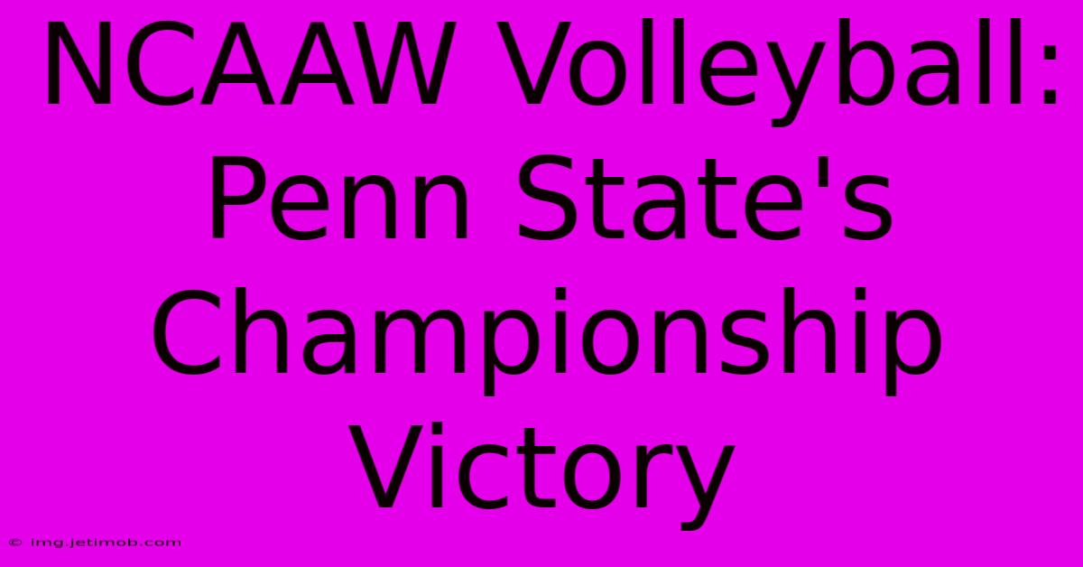 NCAAW Volleyball: Penn State's Championship Victory