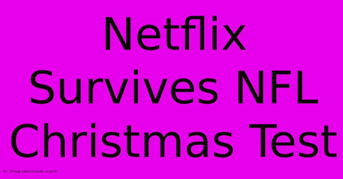 Netflix Survives NFL Christmas Test