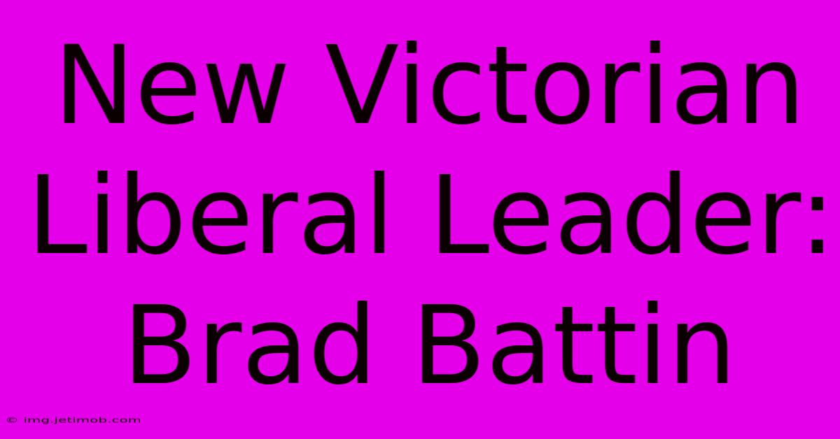 New Victorian Liberal Leader: Brad Battin