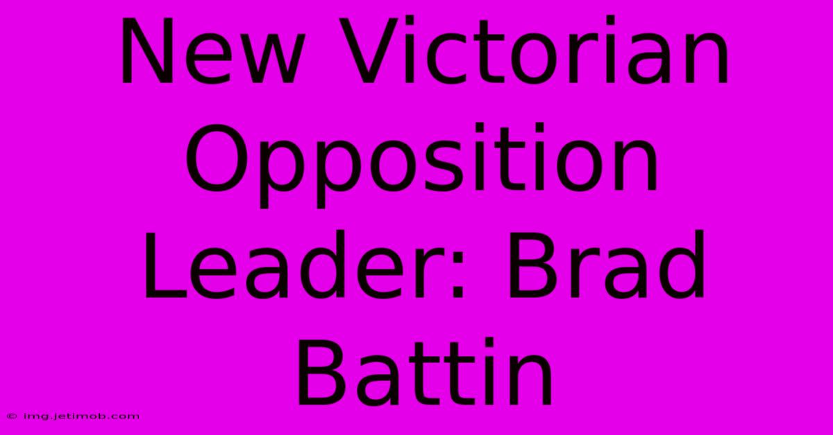 New Victorian Opposition Leader: Brad Battin