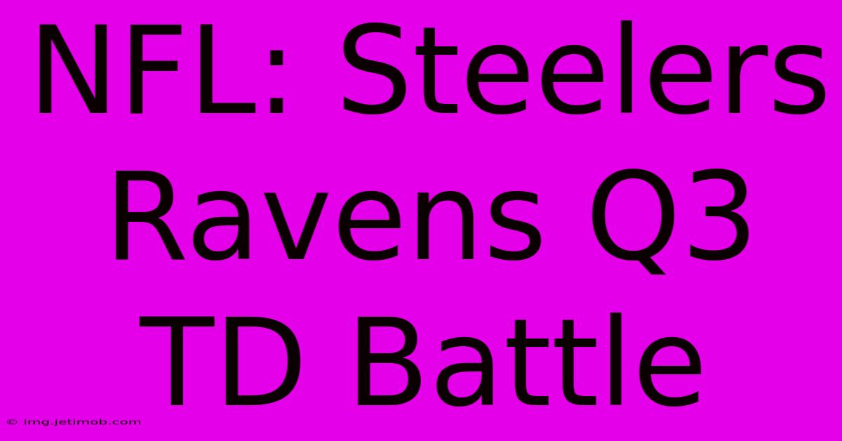 NFL: Steelers Ravens Q3 TD Battle