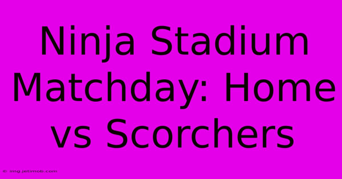 Ninja Stadium Matchday: Home Vs Scorchers