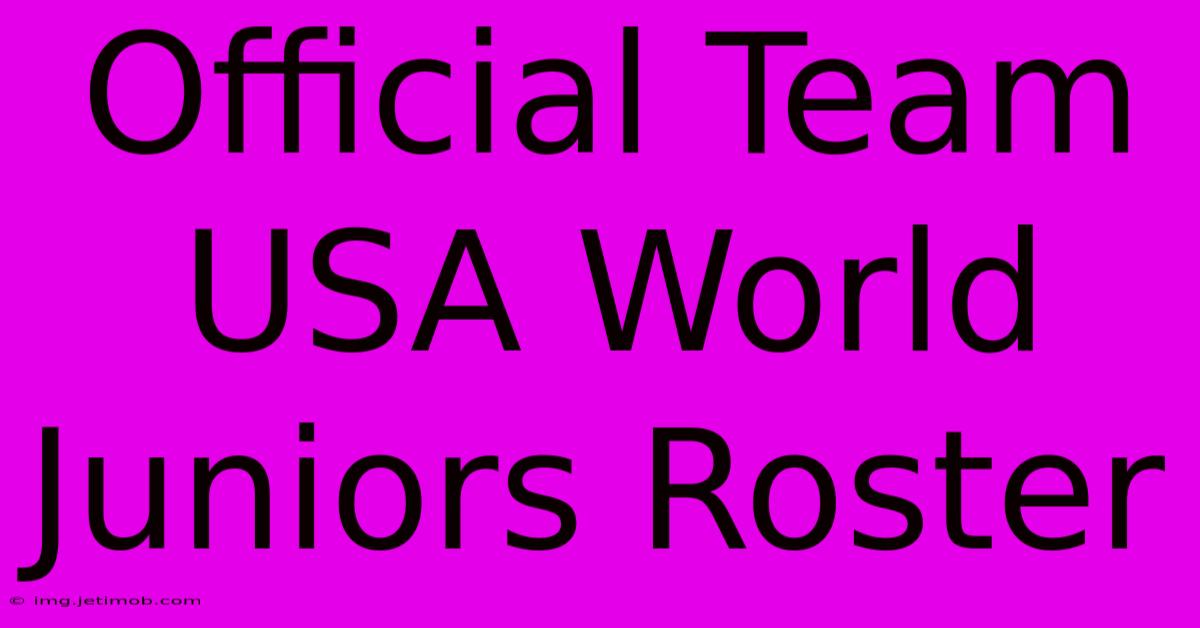 Official Team USA World Juniors Roster