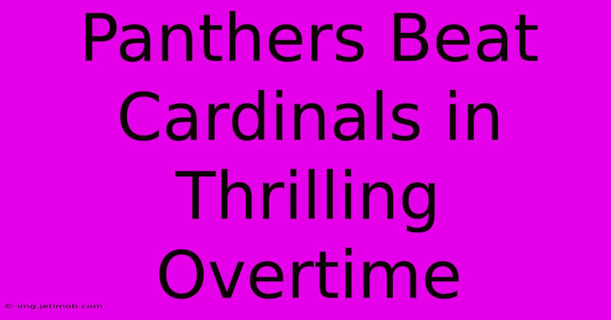 Panthers Beat Cardinals In Thrilling Overtime