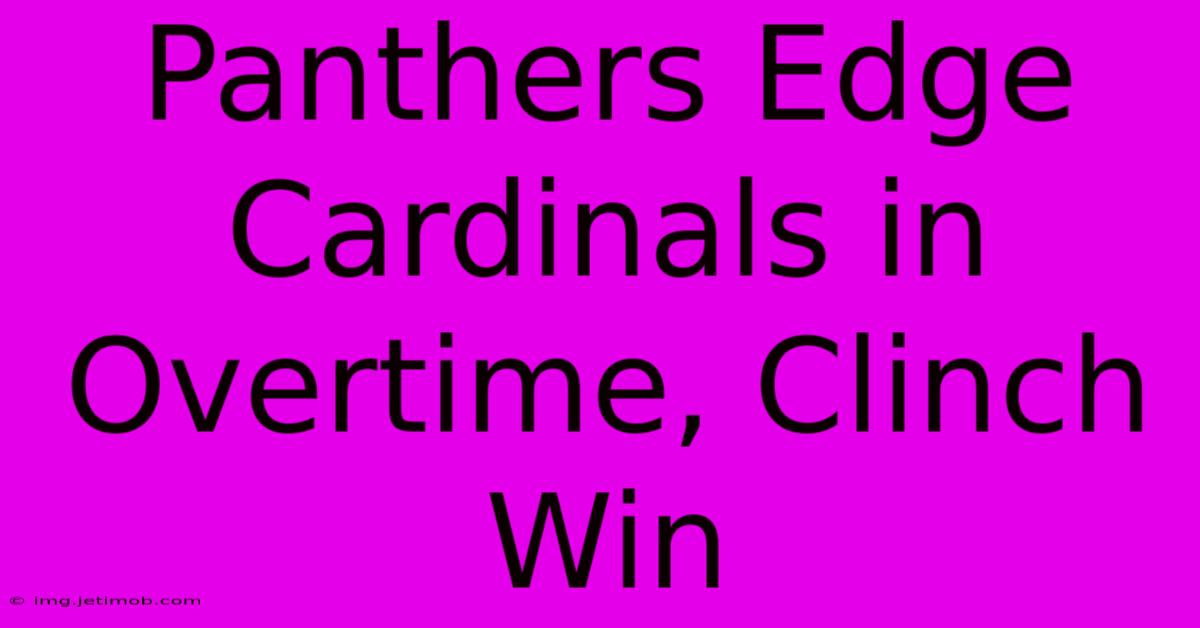 Panthers Edge Cardinals In Overtime, Clinch Win