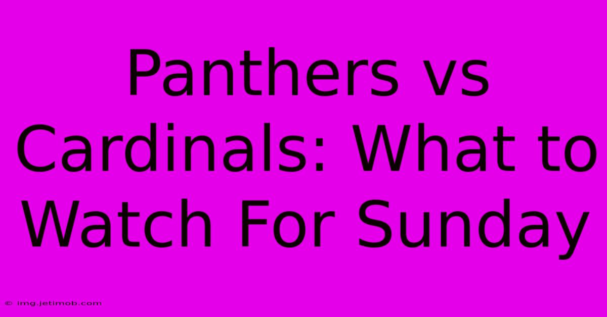 Panthers Vs Cardinals: What To Watch For Sunday