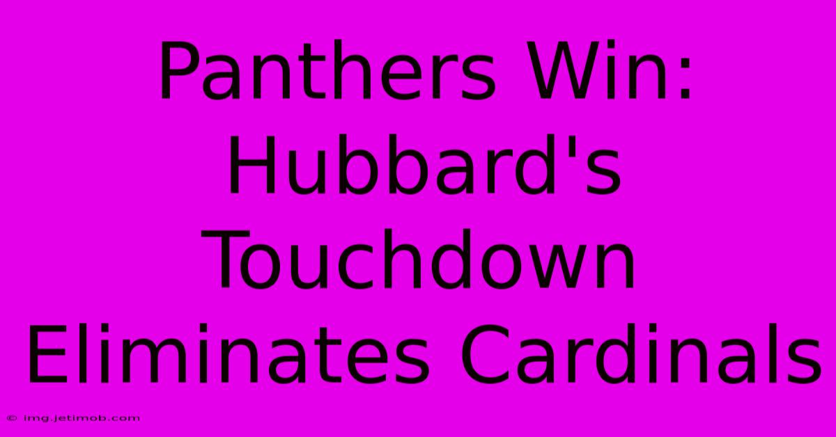 Panthers Win: Hubbard's Touchdown Eliminates Cardinals