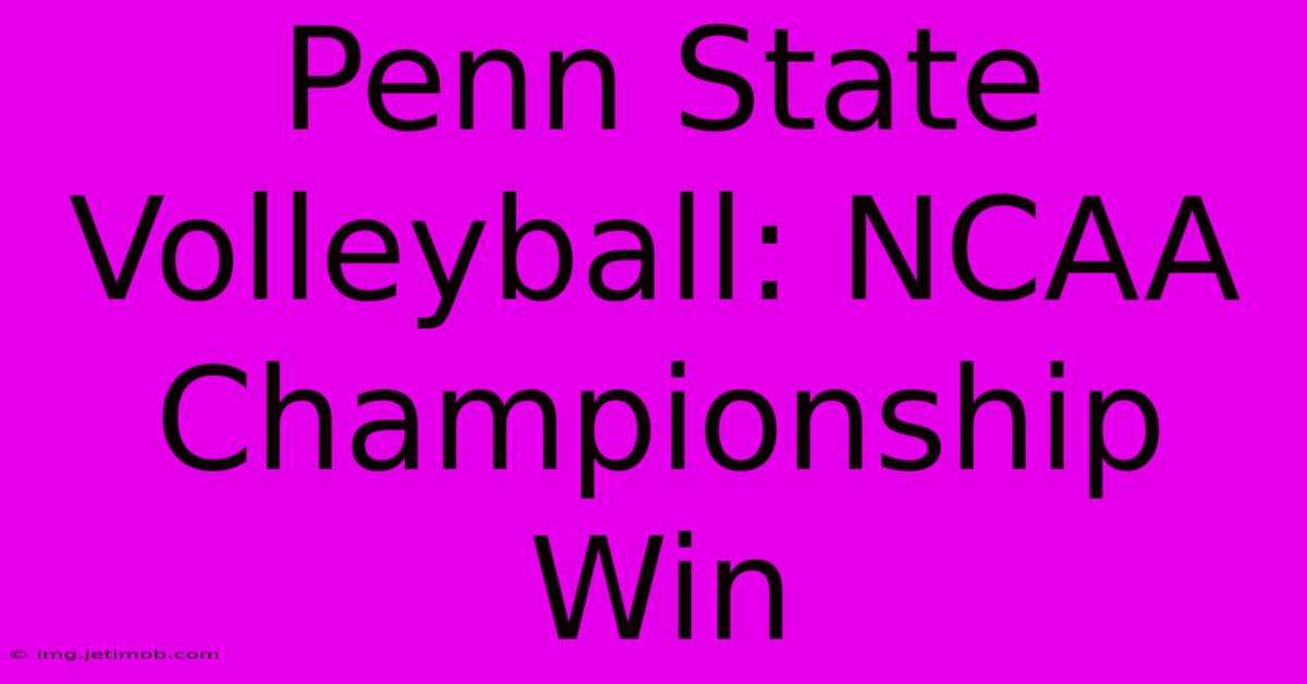 Penn State Volleyball: NCAA Championship Win