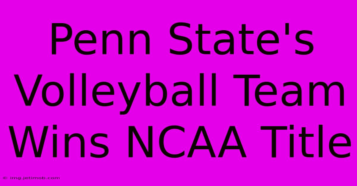 Penn State's Volleyball Team Wins NCAA Title