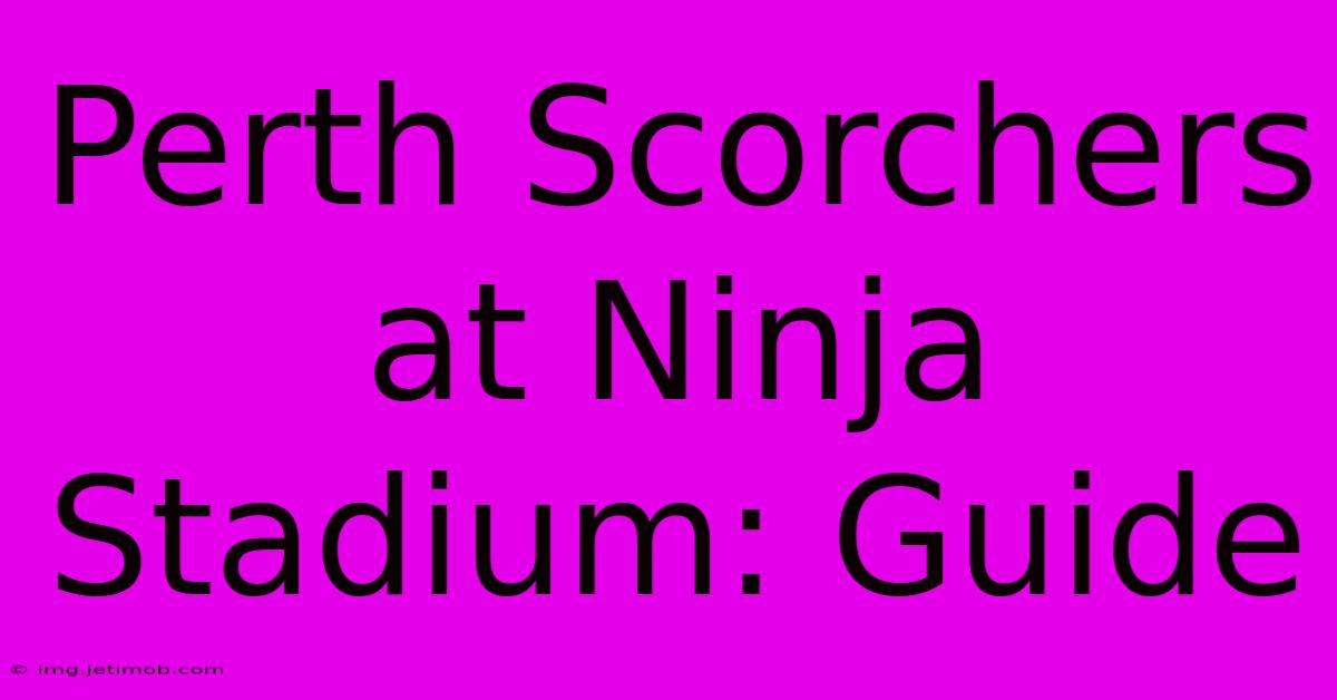 Perth Scorchers At Ninja Stadium: Guide