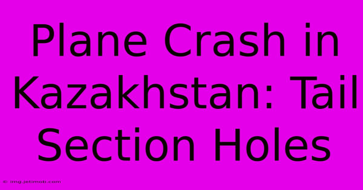 Plane Crash In Kazakhstan: Tail Section Holes