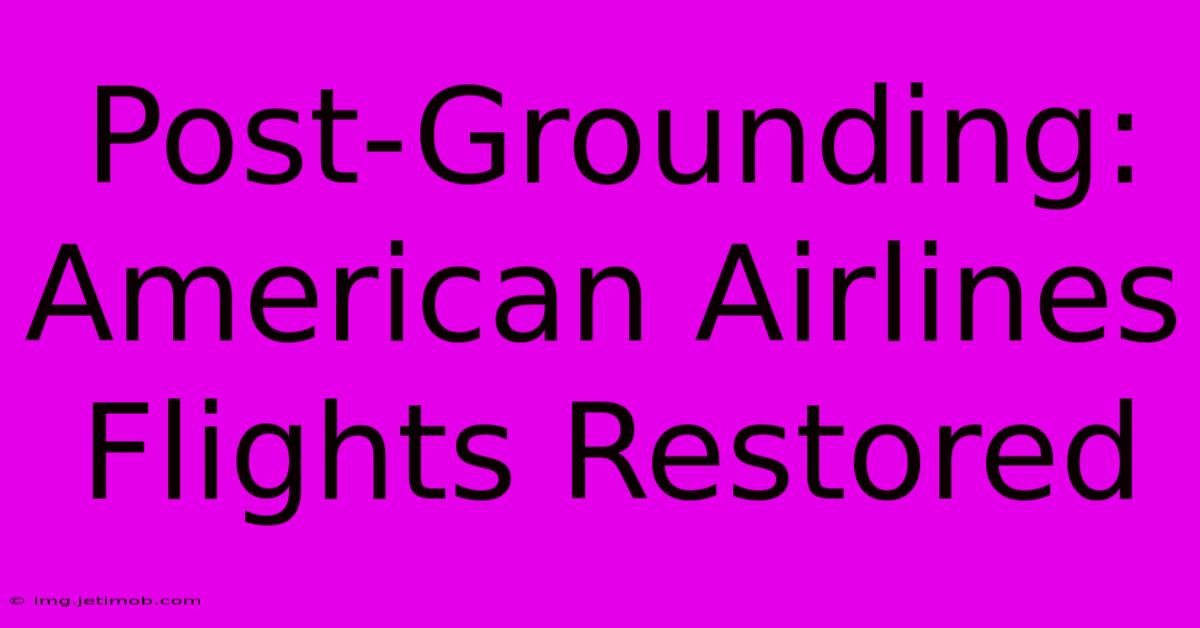 Post-Grounding: American Airlines Flights Restored